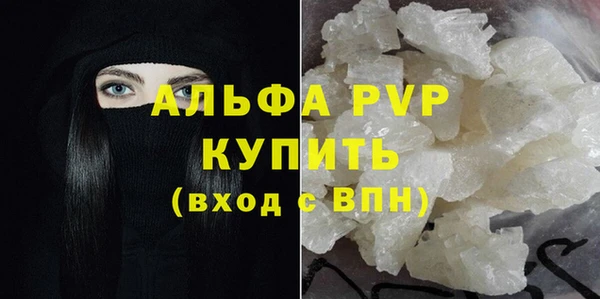 ГАЛЛЮЦИНОГЕННЫЕ ГРИБЫ Дмитриев