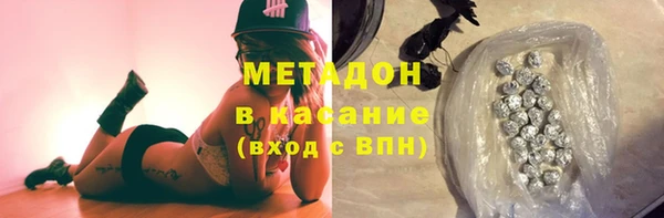 ГАЛЛЮЦИНОГЕННЫЕ ГРИБЫ Дмитриев