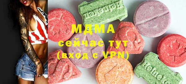 ГАЛЛЮЦИНОГЕННЫЕ ГРИБЫ Дмитриев