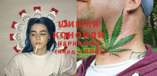 ГАЛЛЮЦИНОГЕННЫЕ ГРИБЫ Дмитриев