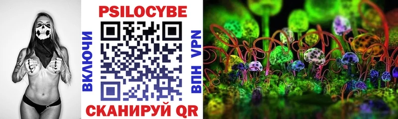 Псилоцибиновые грибы Psilocybine cubensis хочу наркоту Струнино